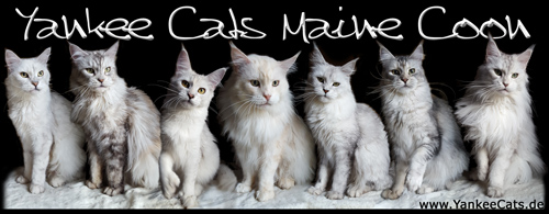 mein Banner zum verlinken